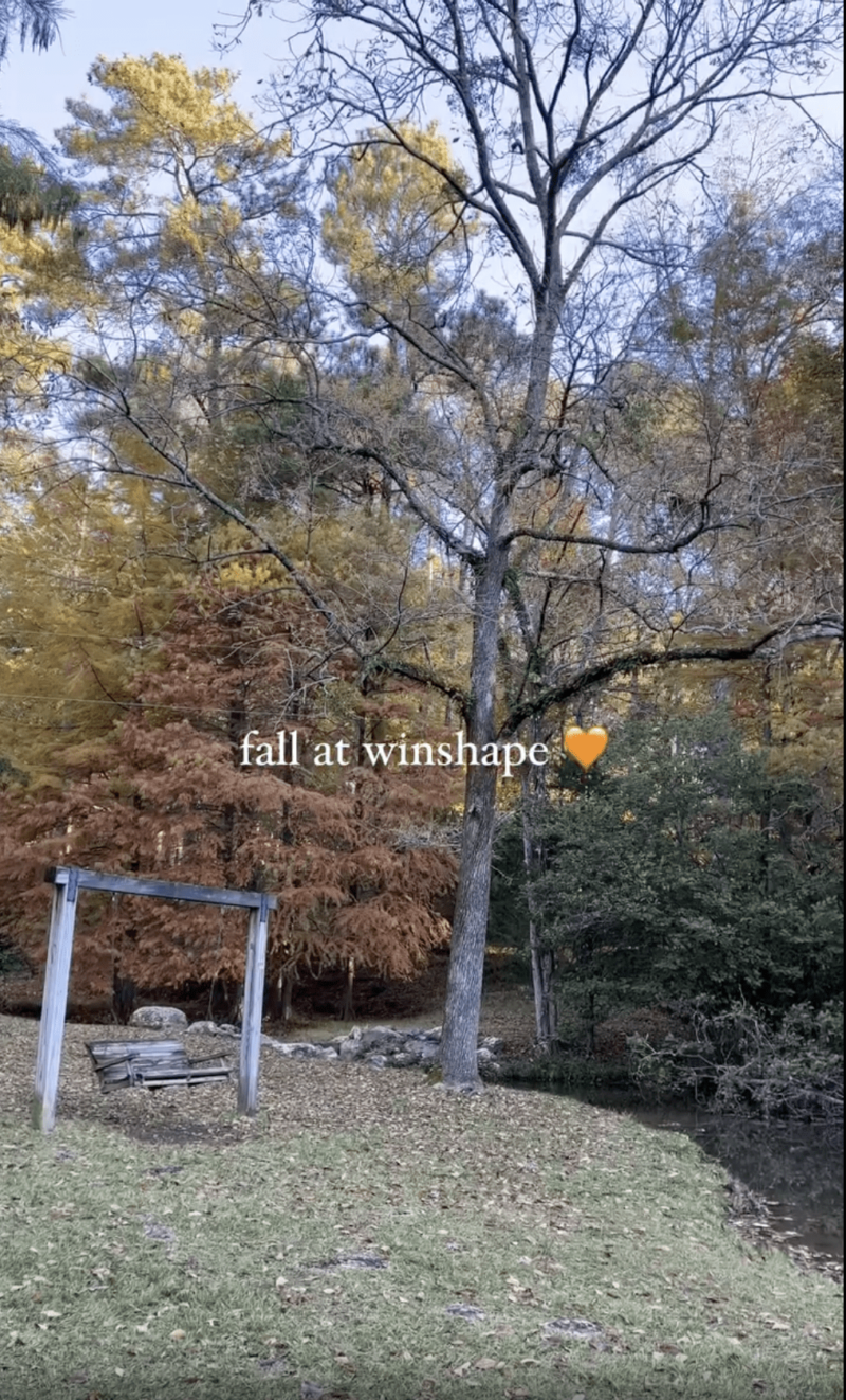 an image of a wooden hammock with fall foliage and leaves surrounding, text on the image that reads 